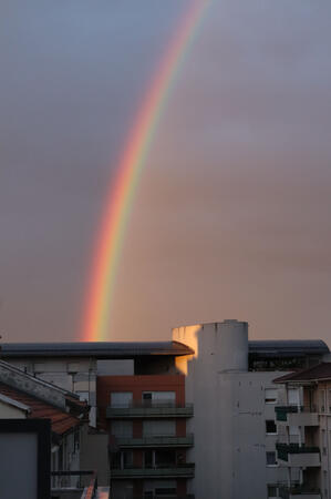 Rainbow